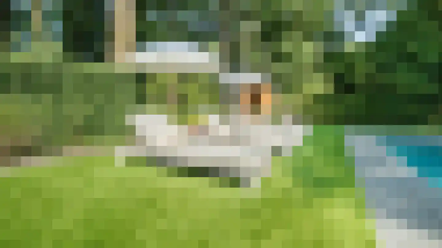 Nije Allee 12 Almelo thumbnail 51