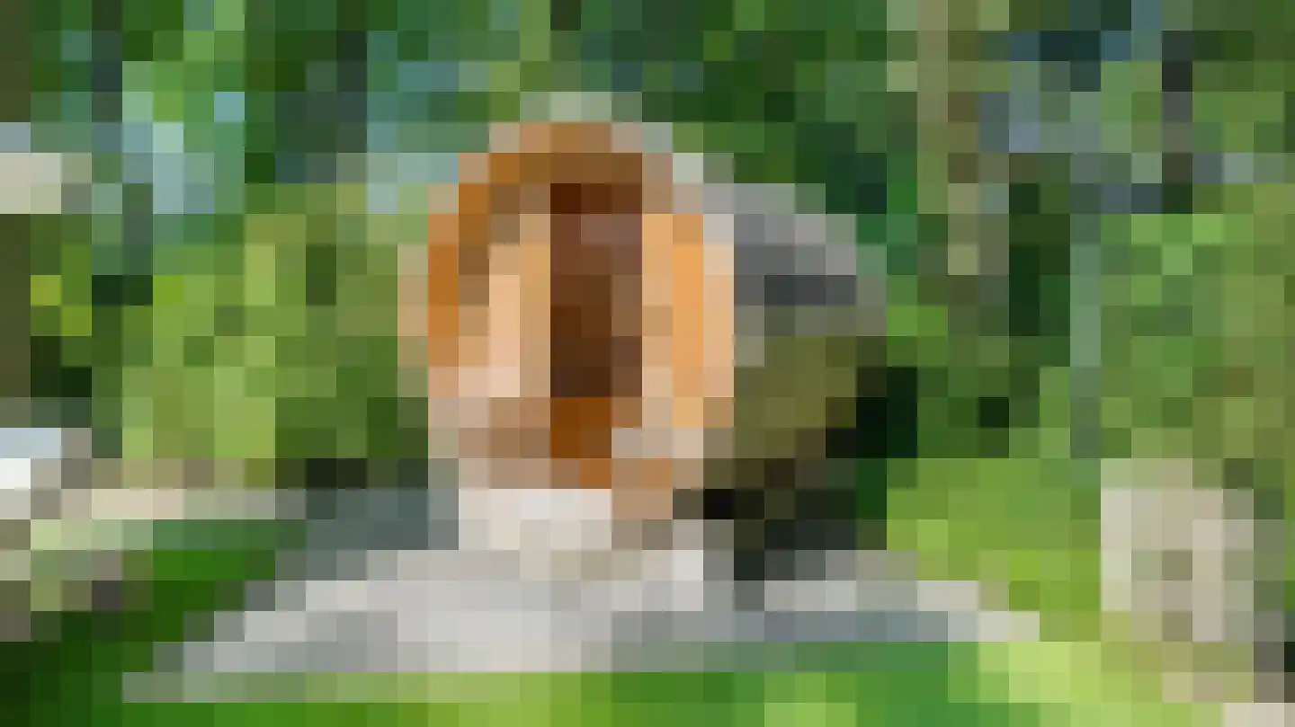 Nije Allee 12 Almelo thumbnail 52