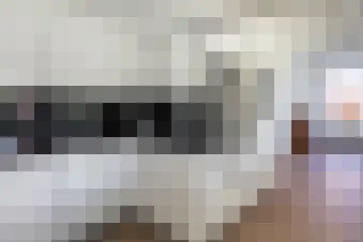 Nije Allee 41 Almelo thumbnail 13