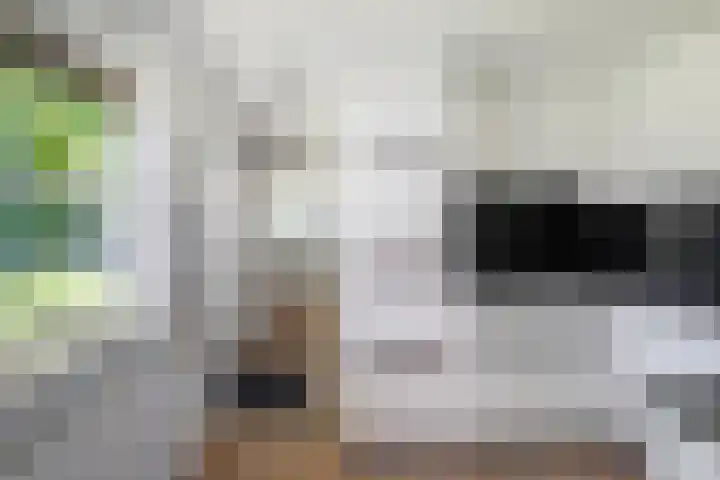 Nije Allee 41 Almelo thumbnail 14