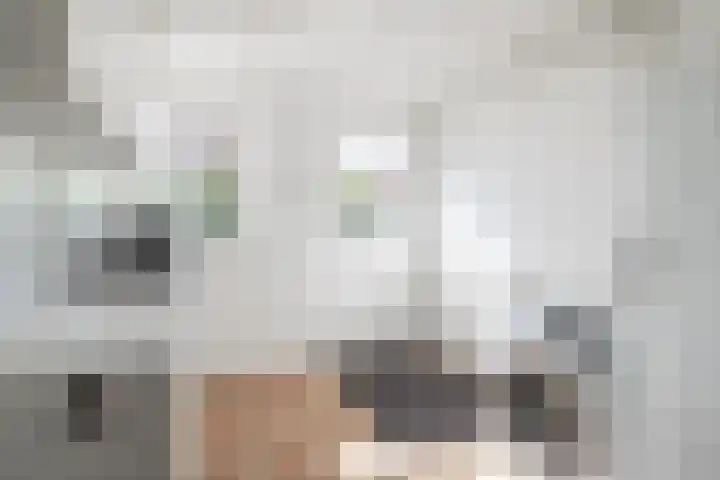 Nije Allee 41 Almelo thumbnail 20