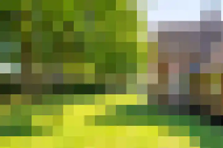 Nije Allee 41 Almelo thumbnail 33