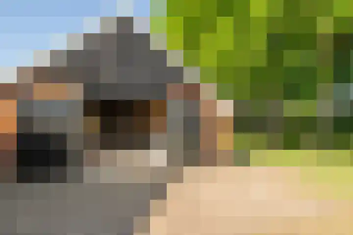 Nije Allee 41 Almelo thumbnail 37