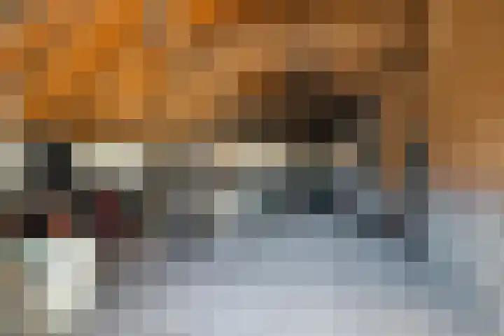 Nije Allee 41 Almelo thumbnail 38