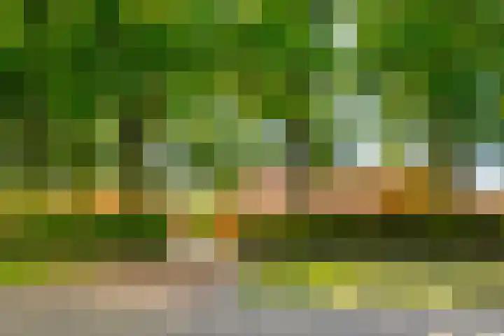 Nije Allee 41 Almelo thumbnail 4