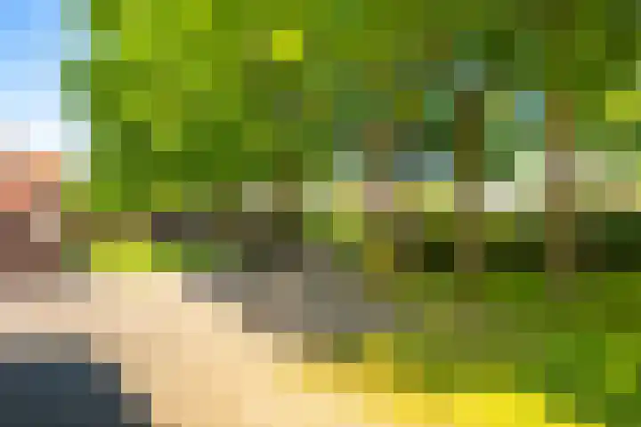 Nije Allee 41 Almelo thumbnail 41