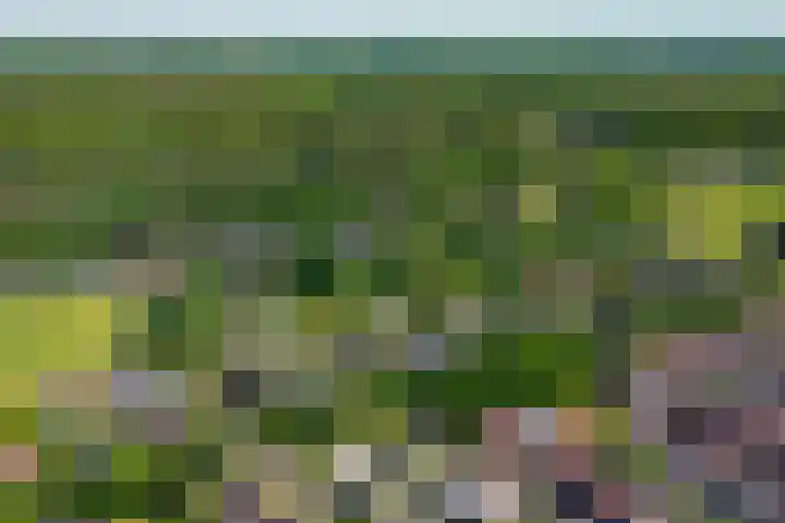 Nije Allee 41 Almelo thumbnail 42