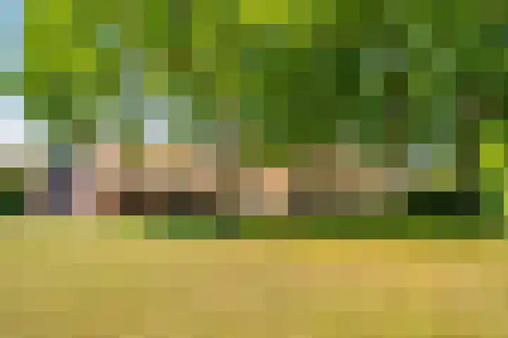 Nije Allee 41 Almelo thumbnail 5