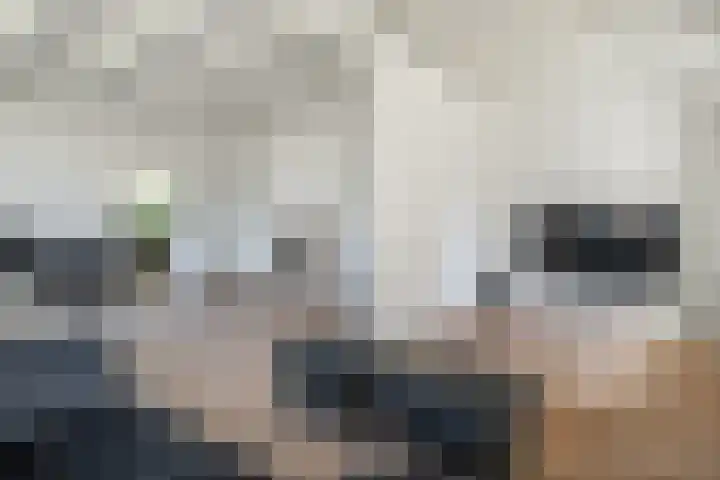 Nije Allee 41 Almelo thumbnail 9