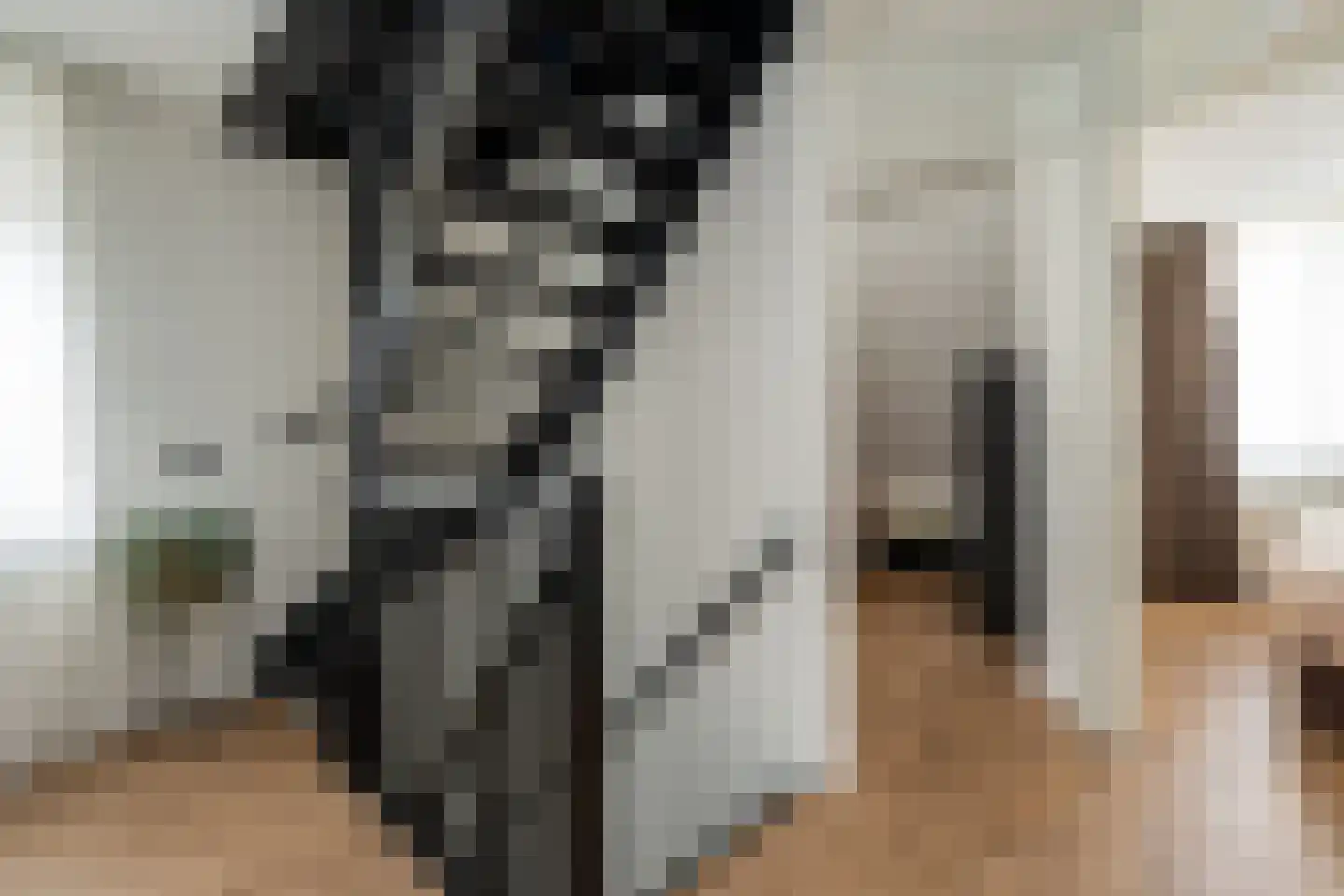 Nije Broek 5 Gieterveen thumbnail 21