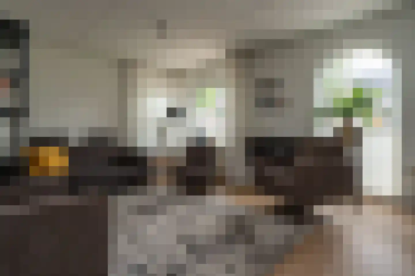 Nije Broek 5 Gieterveen thumbnail 4