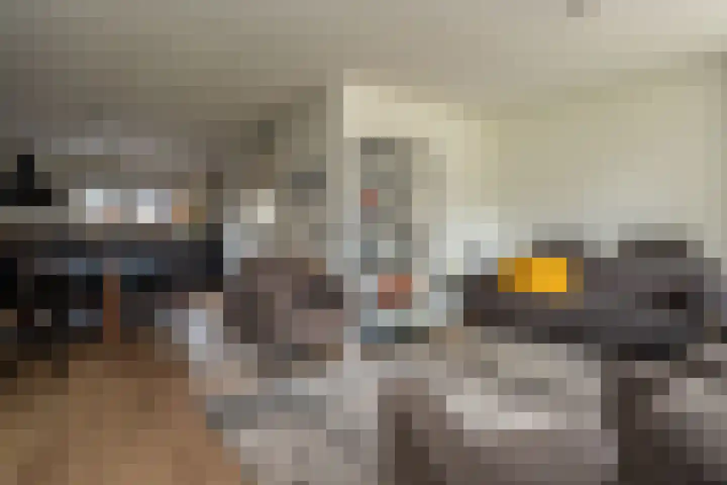 Nije Broek 5 Gieterveen thumbnail 5