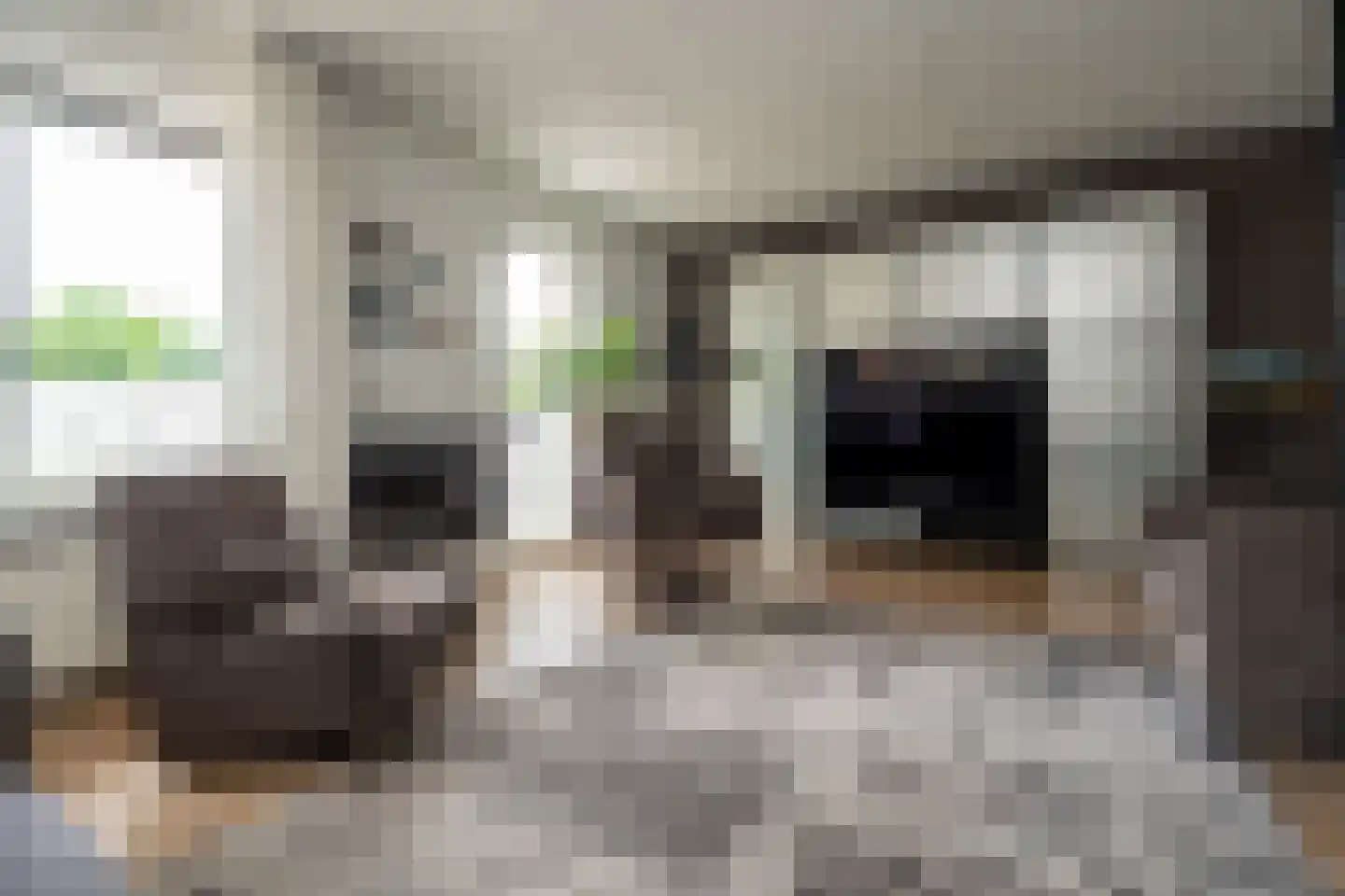 Nije Broek 5 Gieterveen thumbnail 8