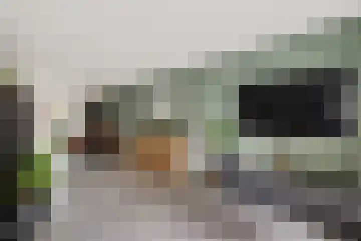 Nije Broek 7 Gieterveen thumbnail 10
