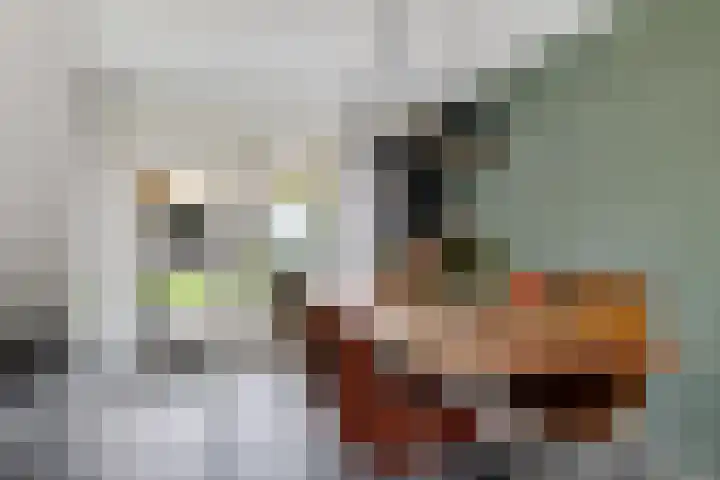 Nije Broek 7 Gieterveen thumbnail 12