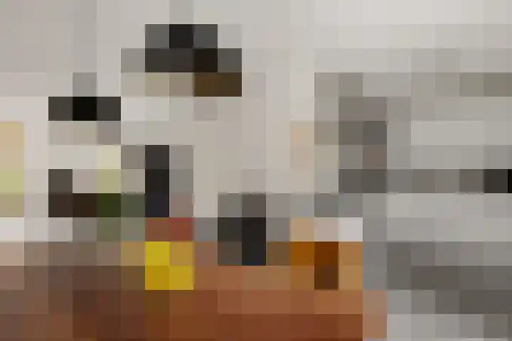 Nije Broek 7 Gieterveen thumbnail 13