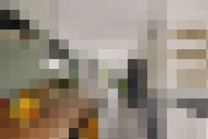 Nije Broek 7 Gieterveen thumbnail 14