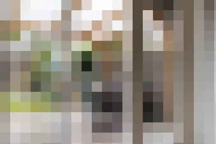 Nije Broek 7 Gieterveen thumbnail 16