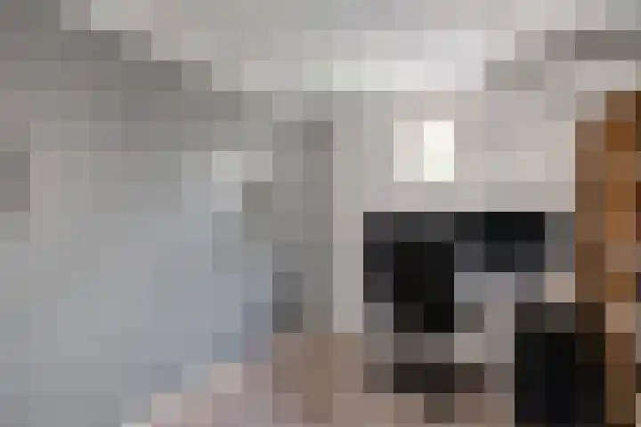 Nije Broek 7 Gieterveen thumbnail 18