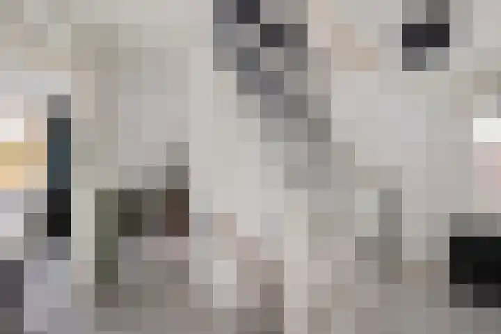 Nije Broek 7 Gieterveen thumbnail 19