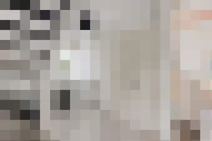 Nije Broek 7 Gieterveen thumbnail 20