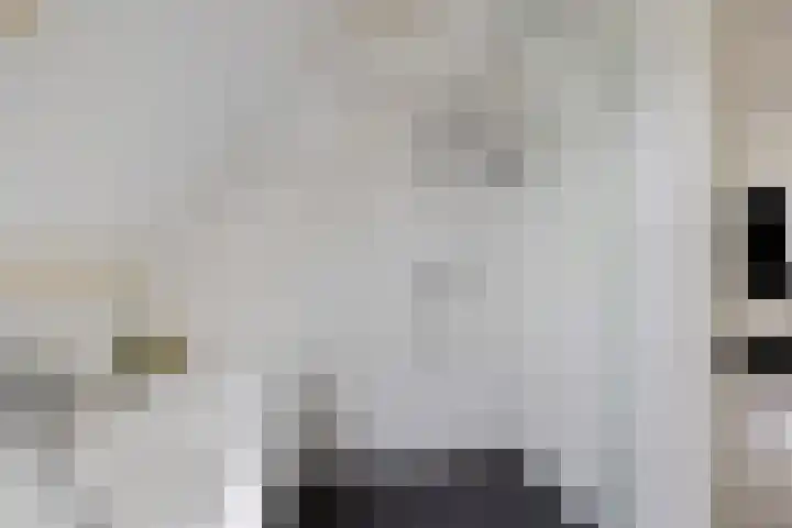 Nije Broek 7 Gieterveen thumbnail 22