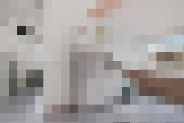 Nije Broek 7 Gieterveen thumbnail 25