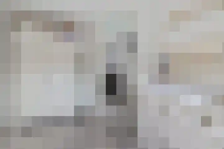 Nije Broek 7 Gieterveen thumbnail 26