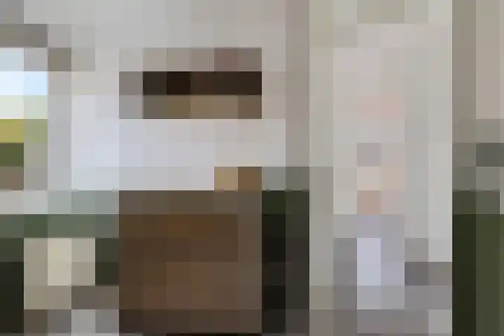 Nije Broek 7 Gieterveen thumbnail 30