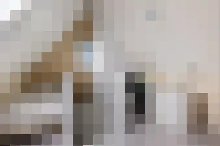 Nije Broek 7 Gieterveen thumbnail 31