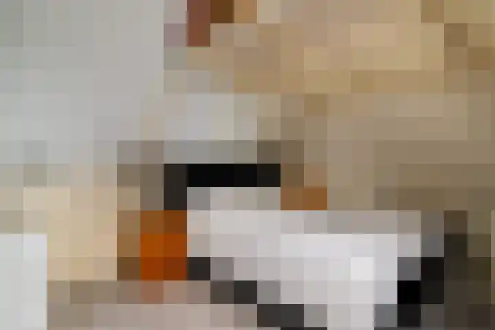 Nije Broek 7 Gieterveen thumbnail 32
