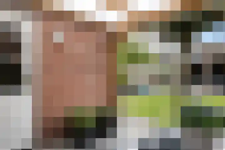 Nije Broek 7 Gieterveen thumbnail 33