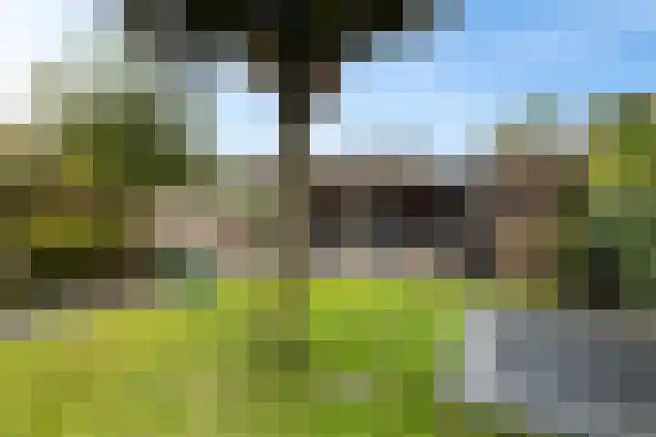 Nije Broek 7 Gieterveen thumbnail 35