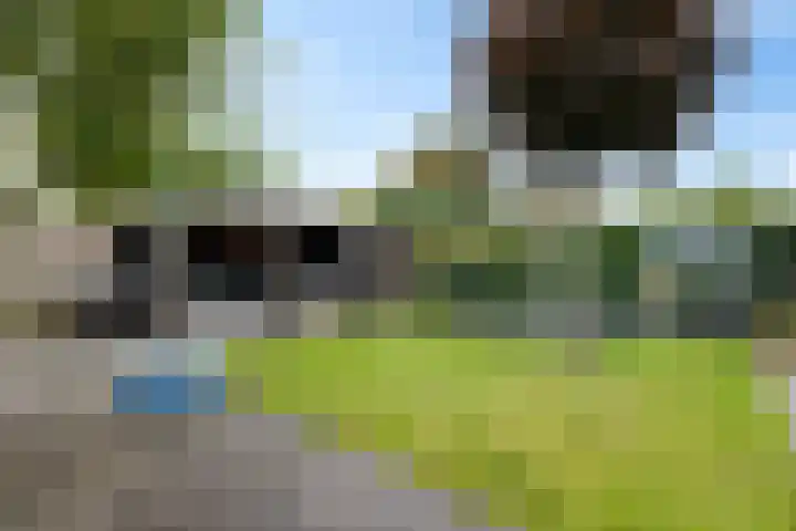 Nije Broek 7 Gieterveen thumbnail 36