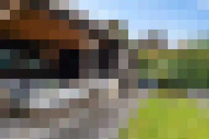Nije Broek 7 Gieterveen thumbnail 37