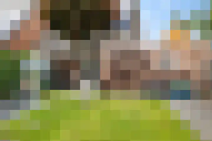 Nije Broek 7 Gieterveen thumbnail 38