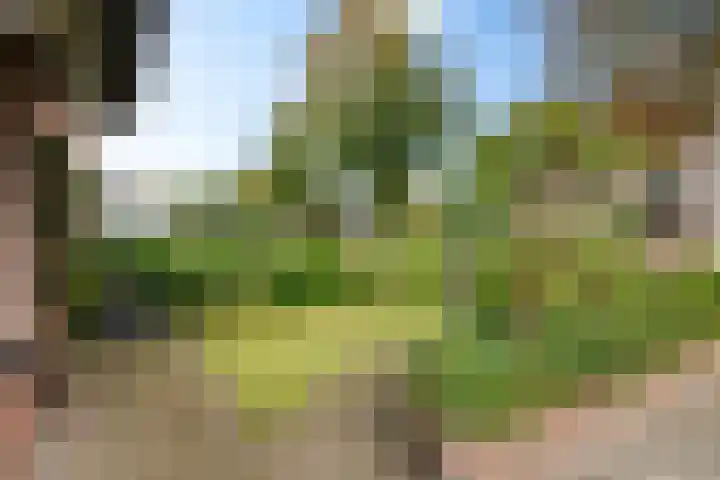 Nije Broek 7 Gieterveen thumbnail 41