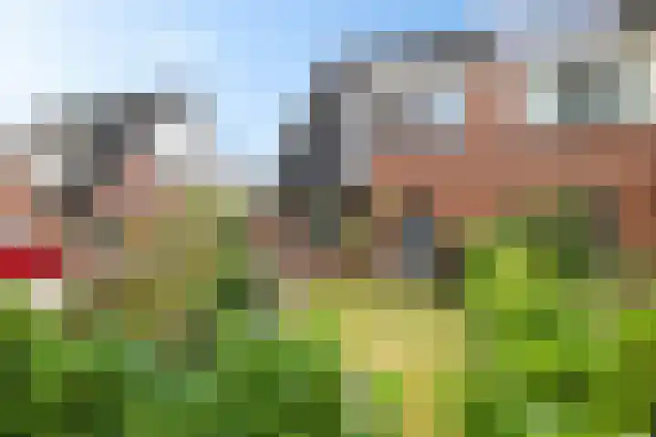 Nije Broek 7 Gieterveen thumbnail 42