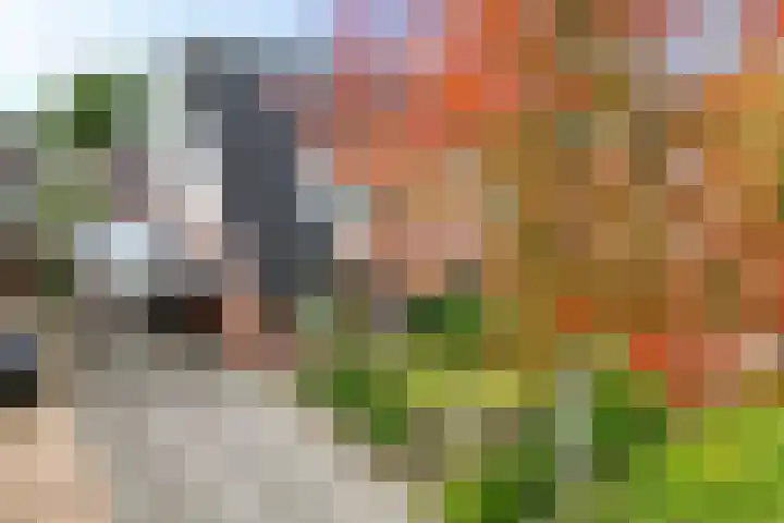 Nije Broek 7 Gieterveen thumbnail 45