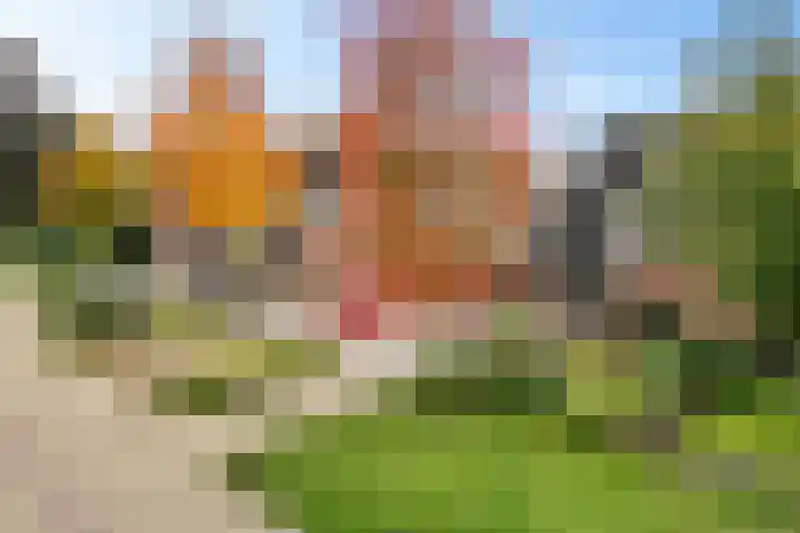 Nije Broek 7 Gieterveen thumbnail 46