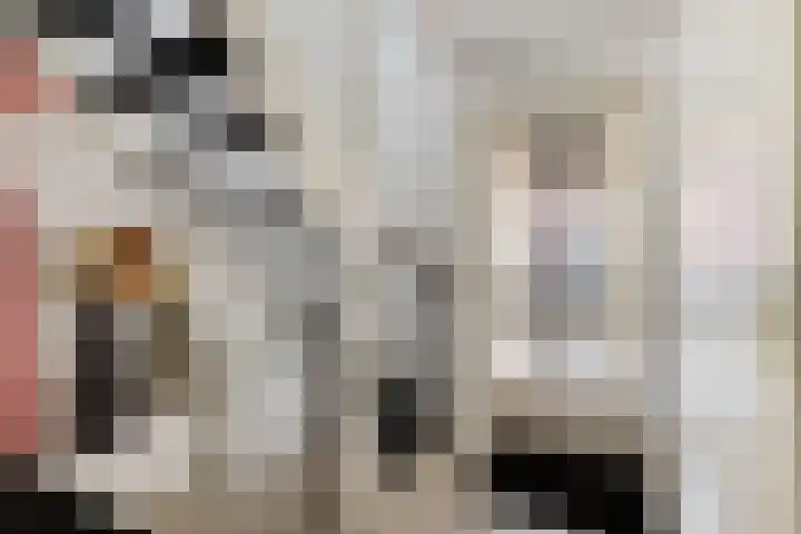 Nije Broek 7 Gieterveen thumbnail 5