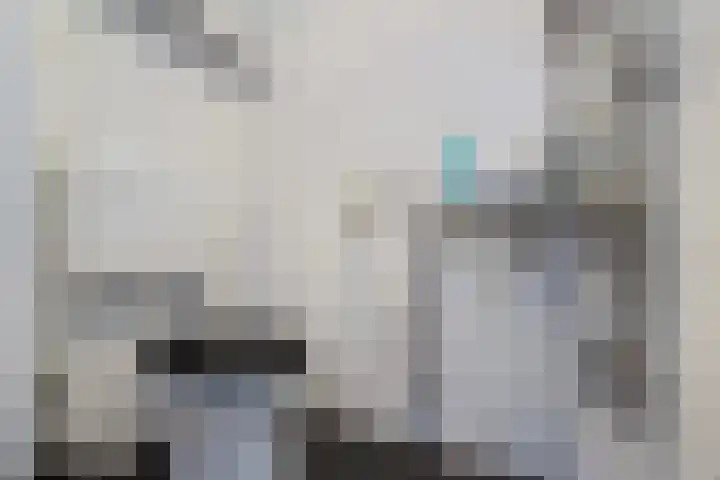 Nije Broek 7 Gieterveen thumbnail 6