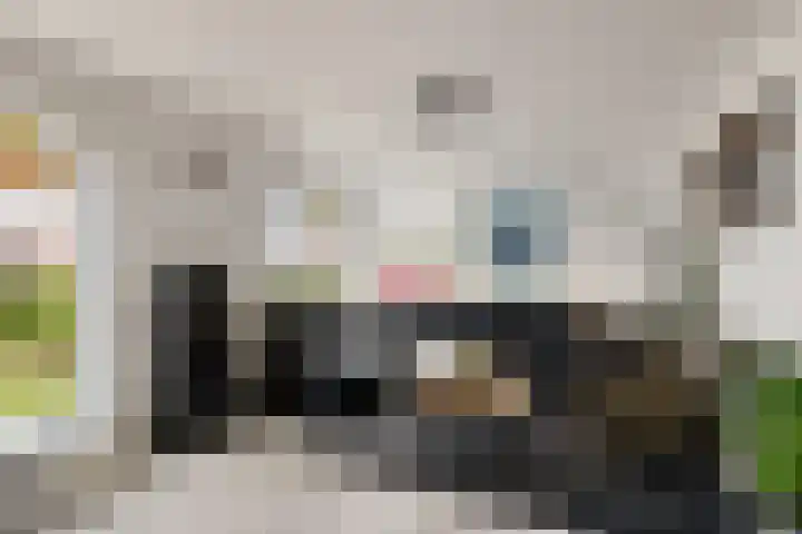 Nije Broek 7 Gieterveen thumbnail 8