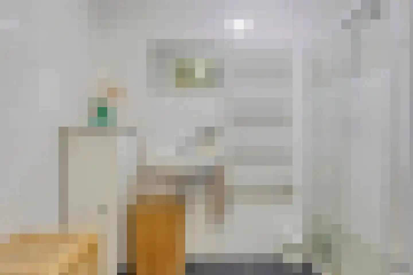 Nije Buorren 2 C Bakkeveen thumbnail 23