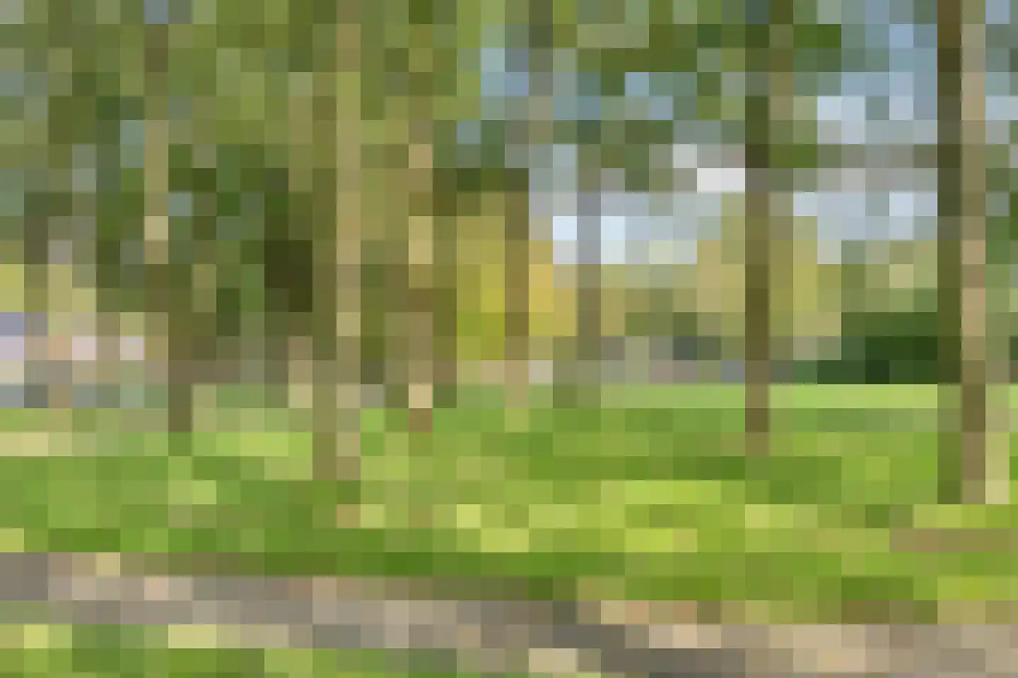 Nije Buorren 2 C Bakkeveen foto 3