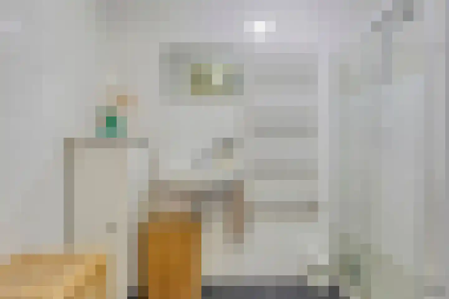 Nije Buorren 2 C Bakkeveen thumbnail 7