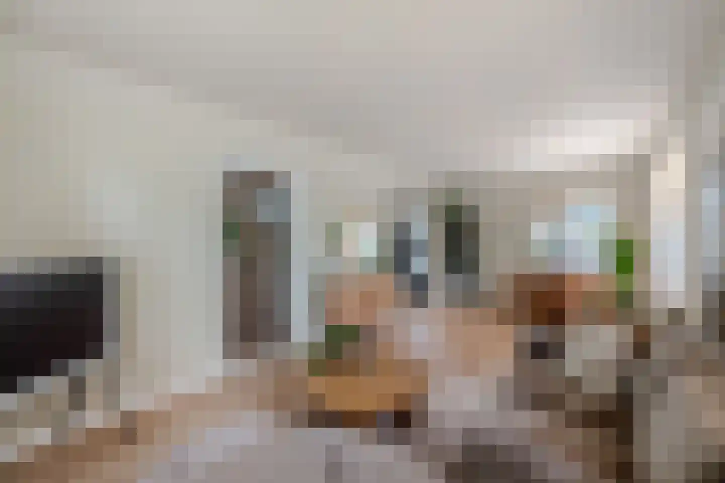 Nije Buorren 20 Bakkeveen thumbnail 11
