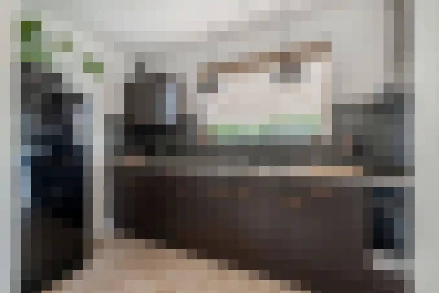 Nije Buorren 20 Bakkeveen thumbnail 15