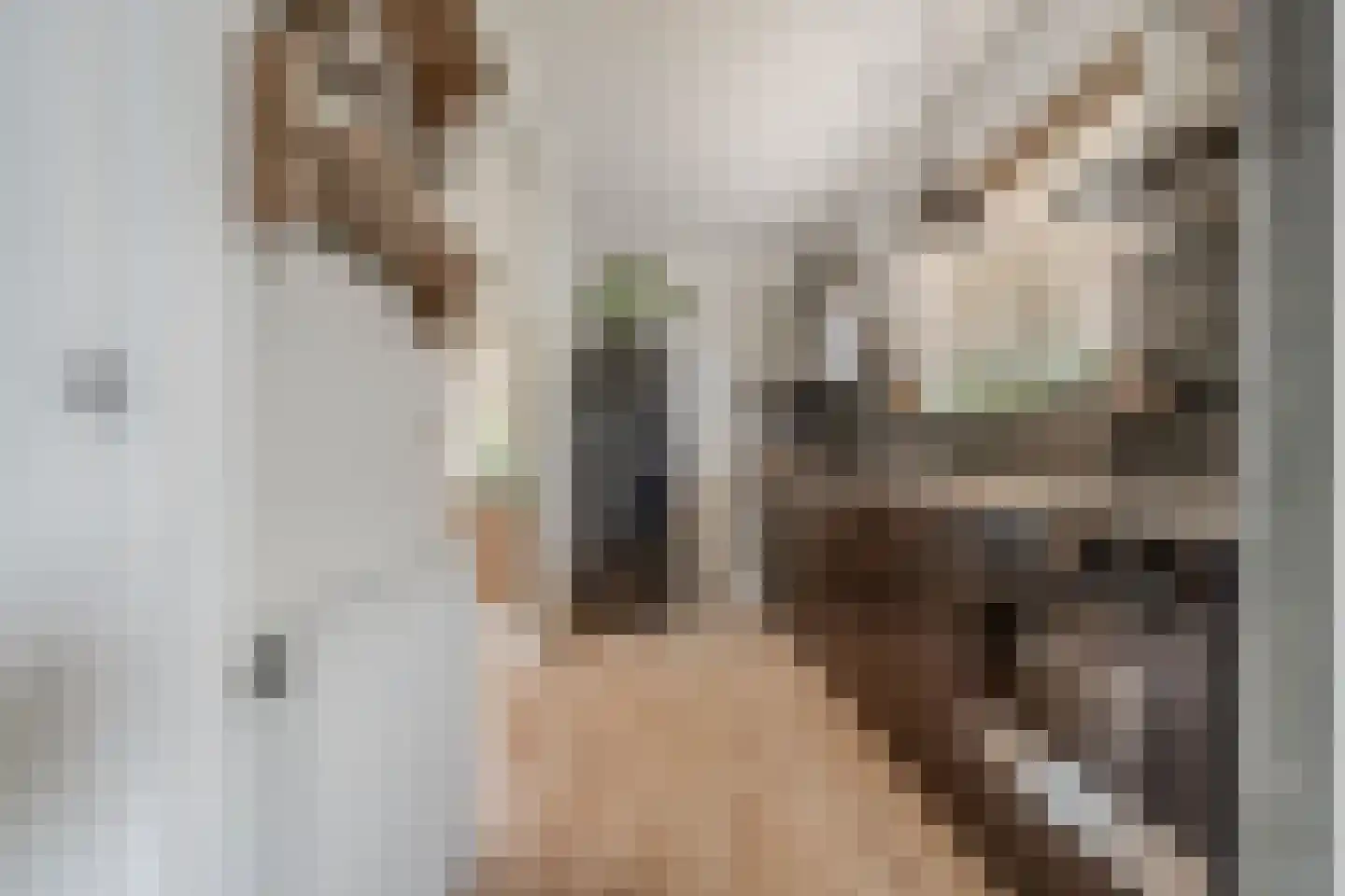 Nije Buorren 20 Bakkeveen thumbnail 16