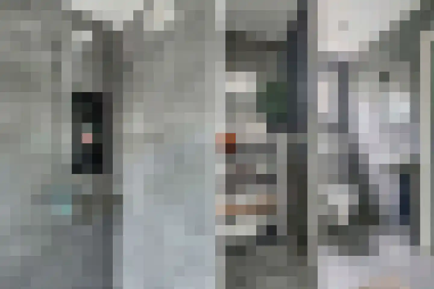 Nije Buorren 20 Bakkeveen thumbnail 20
